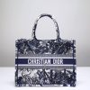Replica Dior Tote Book Coconut Tree