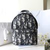 Replica Dior Rider Backpack Beige