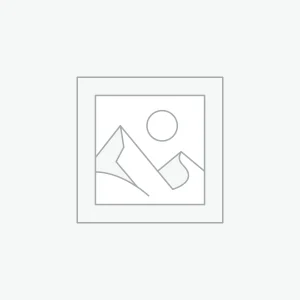 Replica Bags for Women